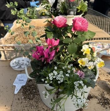 五條コープ委員会：毎年恒例の“寄せ植え”を楽しみました