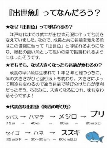 中エリア委員会：中エリア委員会で作成した冊子「さかなdeヘルシー」をご紹介