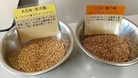 宇陀コープ委員会:組合員のつどいと巽製粉(株)フローベルのパンの学習会