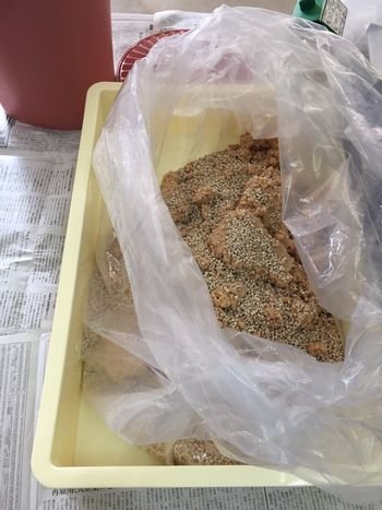 生駒北コープ委員会:手作りみそとCO・OPクオリティ商品の試食学習