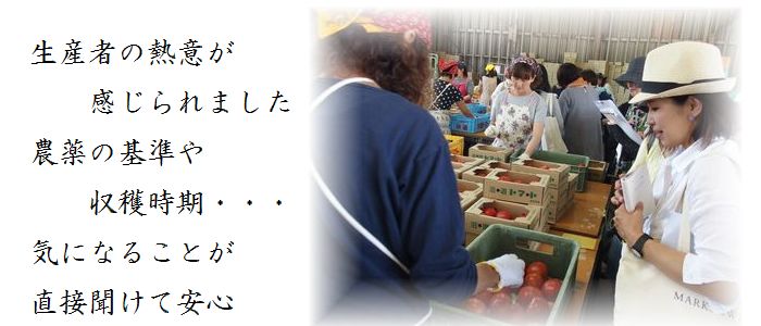 ならモニ便りvol.1:6月15日(木)治道トマト産地見学~出荷場~