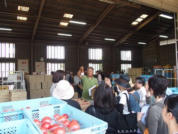 ならモニ便りvol.1:6月15日(木)治道トマト産地見学~出荷場~