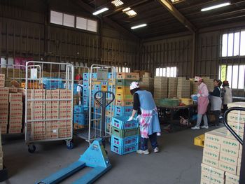 ならモニ便りvol.1:6月15日(木)治道トマト産地見学~出荷場~
