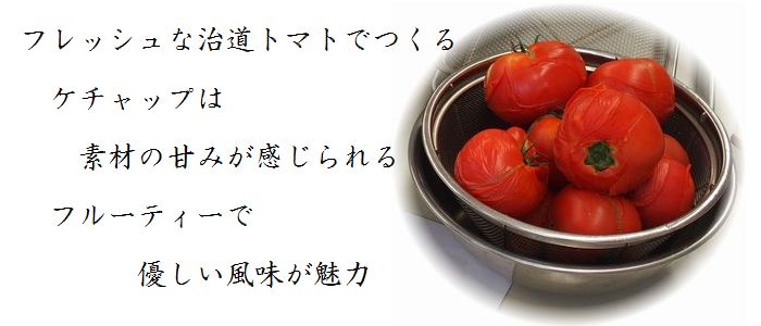 ならモニ便りvol.3:6月15日(木)治道トマト産地見学~トマトでクッキング~