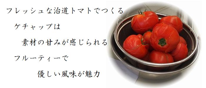 ならモニ便りvol.3：6月15日（木）治道トマト産地見学～トマトでクッキング～