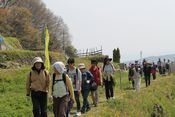 菜の花まつりを開催しました
