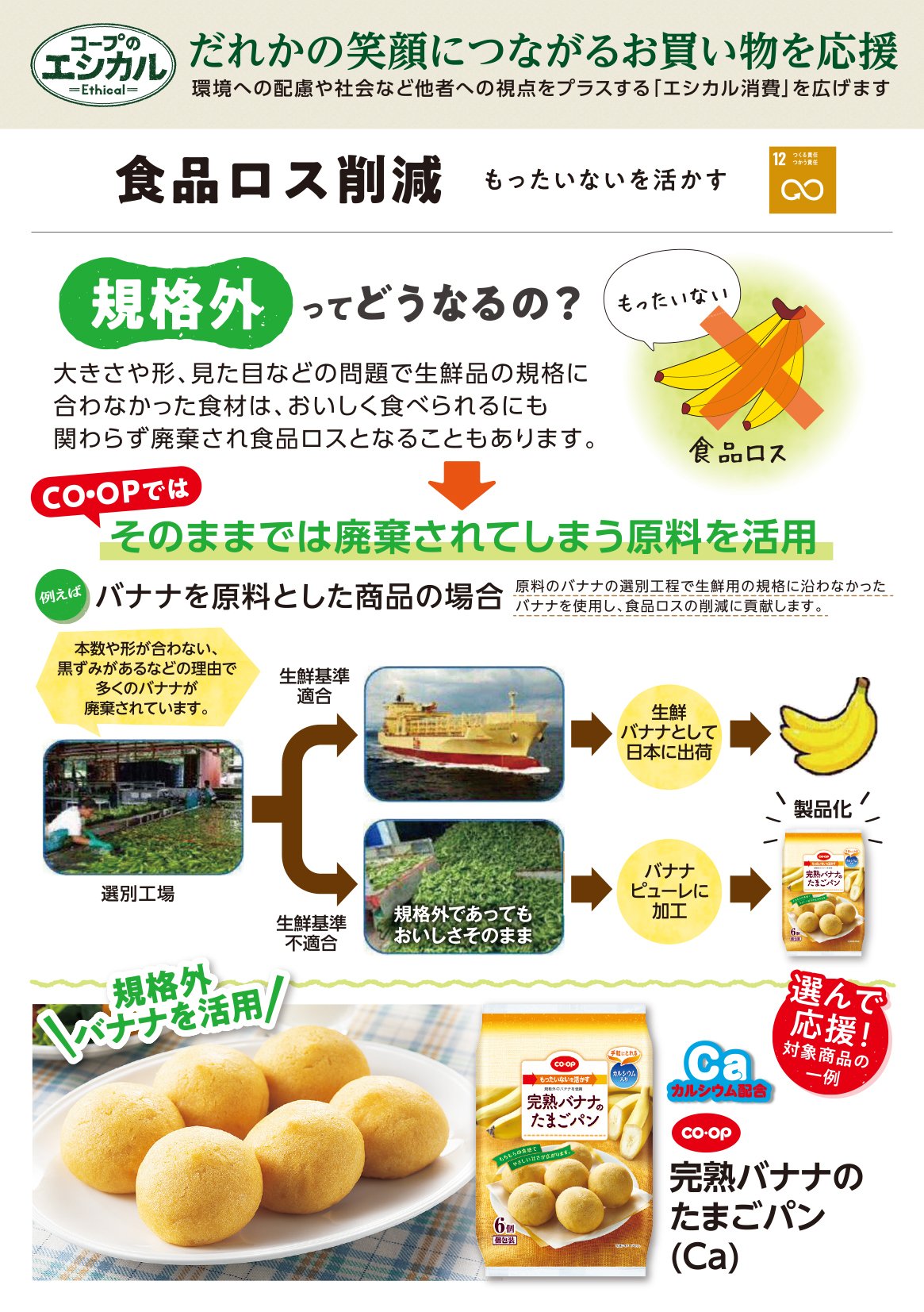 店舗チラシ