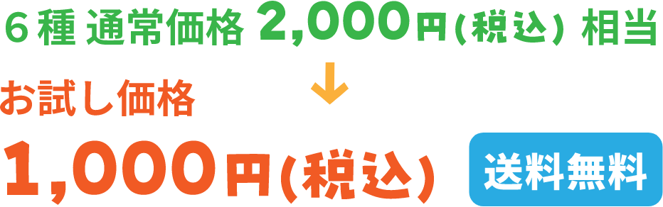 6種 通常価格 2,000円(税込) 相当 お試し価格 1,000円(税込) 送料無料