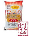 HׂȂai@Ђ̂Ђ@摜