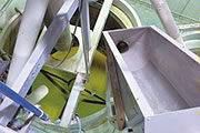 選別後に水漬けへ