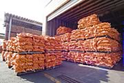 たっぷりの野菜を使って