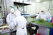 まずは具材の処理から