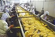 「つぶ」にするライン