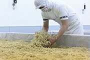 ようやく乾燥